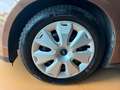 Ford Focus Lim. Champions Edition /96TKM/SHZ/SH/Klima Braun - thumbnail 29