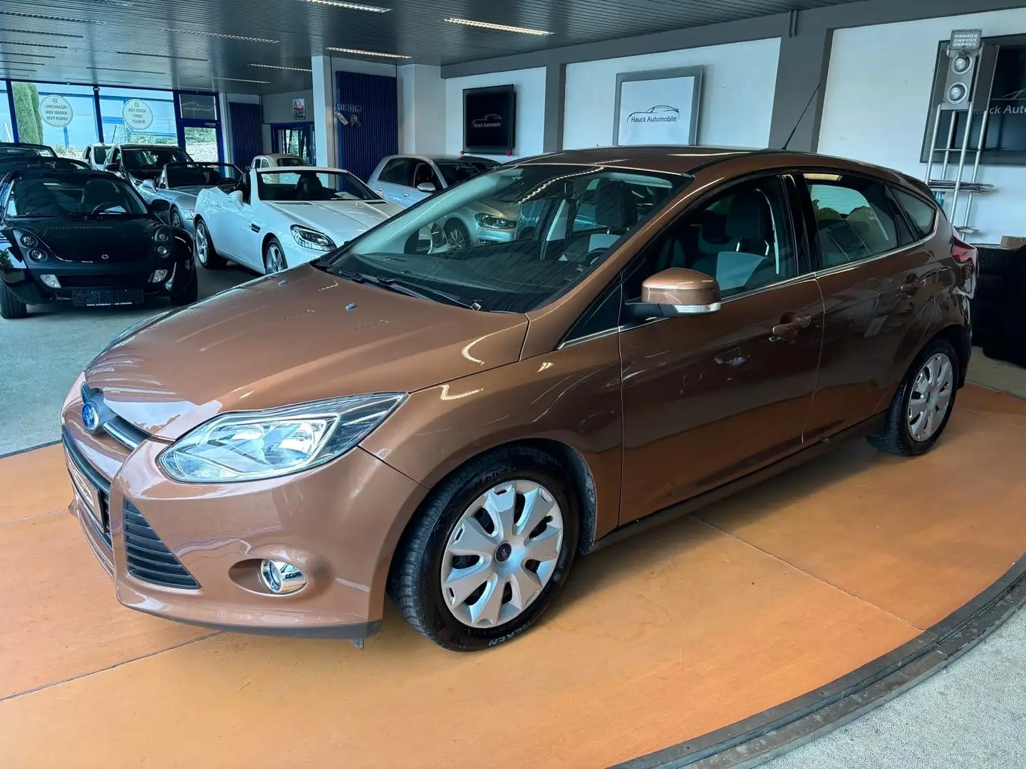 Ford Focus Lim. Champions Edition /96TKM/SHZ/SH/Klima Braun - 1