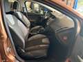 Ford Focus Lim. Champions Edition /96TKM/SHZ/SH/Klima Braun - thumbnail 14