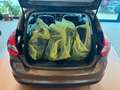 Ford Focus Lim. Champions Edition /96TKM/SHZ/SH/Klima Braun - thumbnail 11
