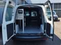 Volkswagen Caddy Kastenwagen TDI Weiß - thumbnail 15