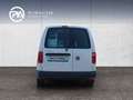 Volkswagen Caddy Kastenwagen TDI Weiß - thumbnail 4