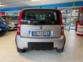 Fiat Panda PANDA 1.2 CLIMBING 4X4 PRONTA ALL'AVVENTURA!! Šedá - thumbnail 5