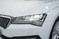 Skoda Superb 2.0TDI AdBlue Ambition 110kW Blanco - thumbnail 10