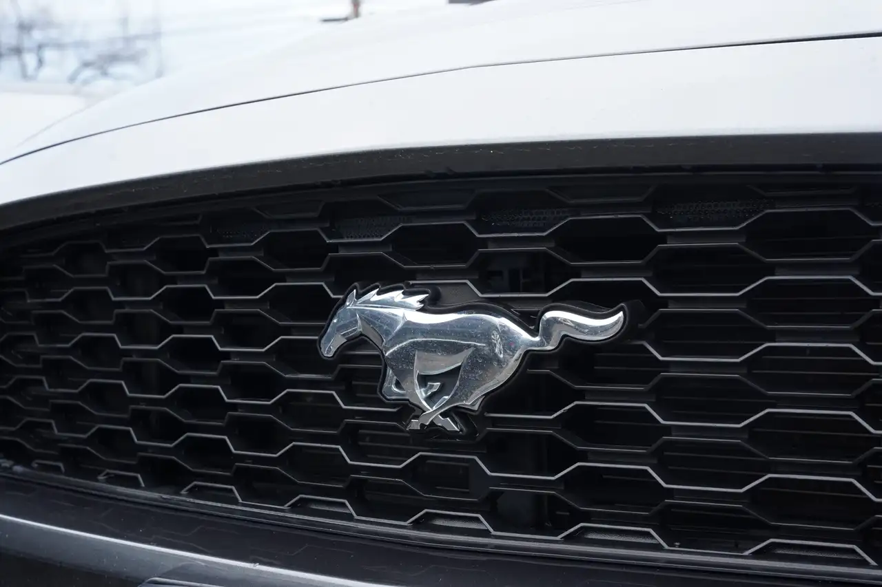 Ford Mustang снимка Ford Mustang