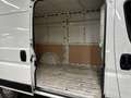 Citroen Jumper 33 L2H2 BlueHDi 140cv Business Bianco - thumbnail 10