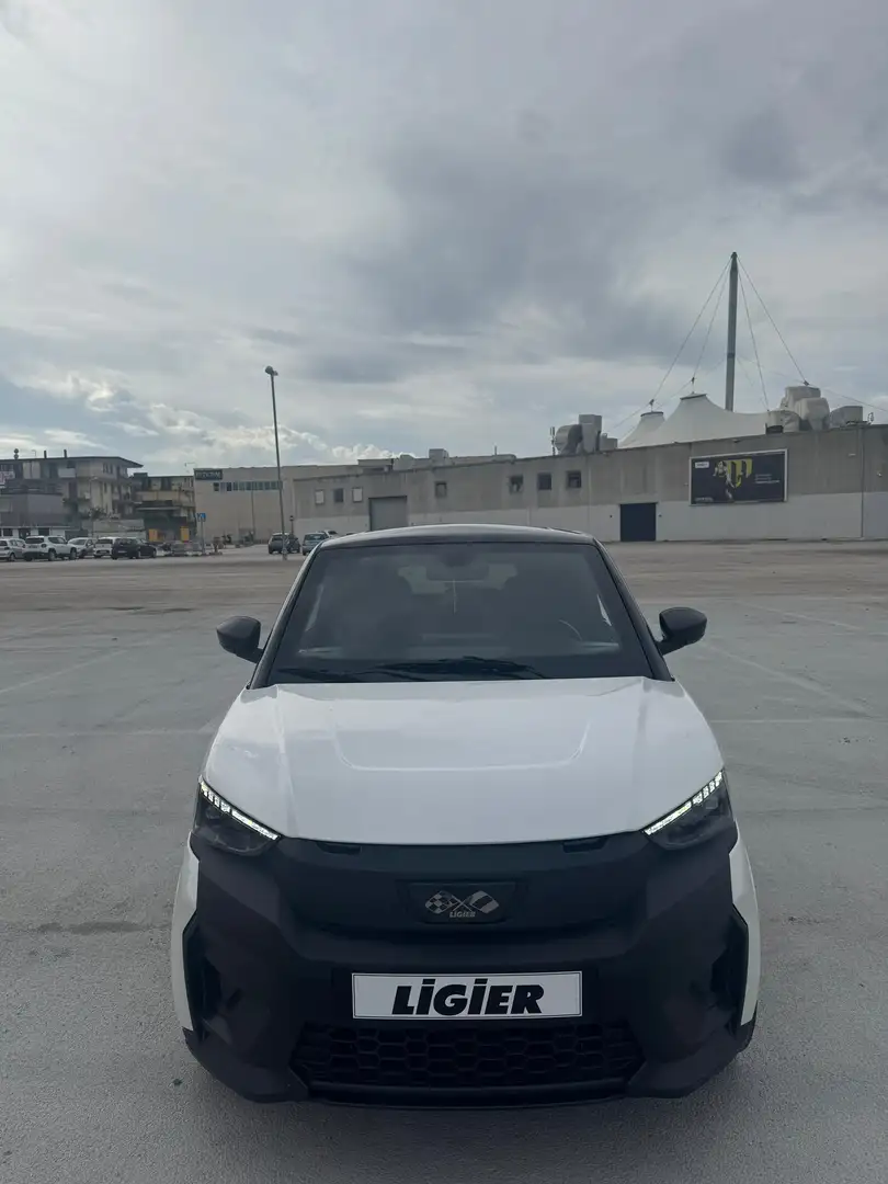 Ligier JS 50 Elite - 2