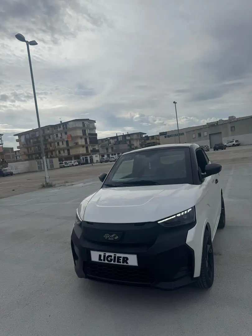 Ligier JS 50 Elite - 1