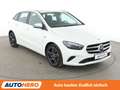 Mercedes-Benz B 250 B 250e Progressive Aut.*NAVI*LED*ACC*360°*PDC*SHZ* White - thumbnail 8