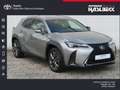 Lexus UX 250h F SPORT Design Silber - thumbnail 1