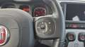 Fiat Panda 1.0 70 Mild Hybride City Cross - thumbnail 27