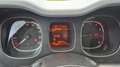 Fiat Panda 1.0 70 Mild Hybride City Cross - thumbnail 12