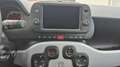 Fiat Panda 1.0 70 Mild Hybride City Cross - thumbnail 13