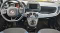 Fiat Panda 1.0 70 Mild Hybride City Cross - thumbnail 11