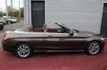Mercedes-Benz C 180 CABRIO AUTOMATIK LEDER BRAUN DACH BRAUN 2H Brun - thumbnail 9