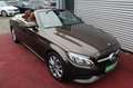 Mercedes-Benz C 180 CABRIO AUTOMATIK LEDER BRAUN DACH BRAUN 2H Brun - thumbnail 30