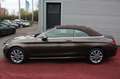 Mercedes-Benz C 180 CABRIO AUTOMATIK LEDER BRAUN DACH BRAUN 2H Brun - thumbnail 5