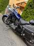 Kawasaki VN 800 Albastru - thumbnail 3