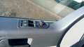 Volkswagen T5 Transporter TDI (BiTDI) 4MOTION DSG - thumbnail 13