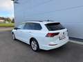Volkswagen Golf Variant 2,0 TDI Life **GARANTIE**AHK**RFK**ACC**LED**APP** Weiß - thumbnail 5
