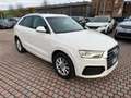 Audi Q3 2.0 TDI 150 CV S tronic Business Bianco - thumbnail 3