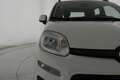 Fiat Panda 1.3 mjt 16v Lounge s&s 95cv NEOPATENTATI Bianco - thumbnail 41