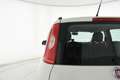 Fiat Panda 1.3 mjt 16v Lounge s&s 95cv NEOPATENTATI Bianco - thumbnail 43
