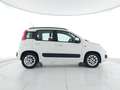 Fiat Panda 1.3 mjt 16v Lounge s&s 95cv NEOPATENTATI Bianco - thumbnail 7