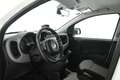 Fiat Panda 1.3 mjt 16v Lounge s&s 95cv NEOPATENTATI Bianco - thumbnail 10
