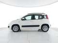 Fiat Panda 1.3 mjt 16v Lounge s&s 95cv NEOPATENTATI Bianco - thumbnail 8