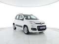 Fiat Panda 1.3 mjt 16v Lounge s&s 95cv NEOPATENTATI Bianco - thumbnail 1