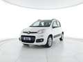 Fiat Panda 1.3 mjt 16v Lounge s&s 95cv NEOPATENTATI Bianco - thumbnail 2