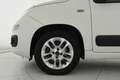 Fiat Panda 1.3 mjt 16v Lounge s&s 95cv NEOPATENTATI Bianco - thumbnail 39
