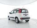 Fiat Panda 1.3 mjt 16v Lounge s&s 95cv NEOPATENTATI Bianco - thumbnail 4