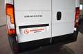 Fiat Ducato FURGÓN 3.3T L1H1 2.3 MULTIJET 120 CV Blanco - thumbnail 50
