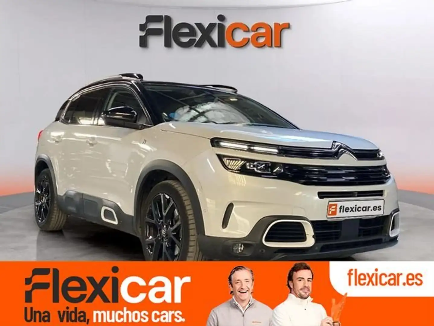 Citroen C5 Aircross 225 e-EAT8 Shine Weiß - 1