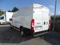 Fiat Ducato 3.0 CNG L4 H2 140CV METANO PRONTA CONSEGNA Bianco - thumbnail 3