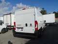 Fiat Ducato 3.0 CNG L4 H2 140CV METANO PRONTA CONSEGNA Bianco - thumbnail 6