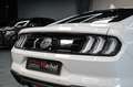 Ford Mustang GT 5.0 *Schalter*Premium Paket *Deutsch* Weiß - thumbnail 10