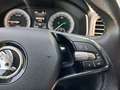 Skoda Karoq 2,0 TDI SCR 4x4 Ambition SC DSG Grau - thumbnail 16