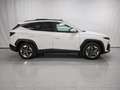 Hyundai TUCSON TECNO SKY 1.6T 252CV HIBRIDO ENCHUFABLE SEMINUEVO Blanco - thumbnail 22