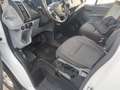 Ford Transit Transit Variobus 2,0 TDCI L3H2 350 Trend Trend Weiß - thumbnail 9
