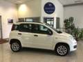 Fiat Panda Panda 0.9 t.air t. natural power Easy 80cv Bianco - thumbnail 5