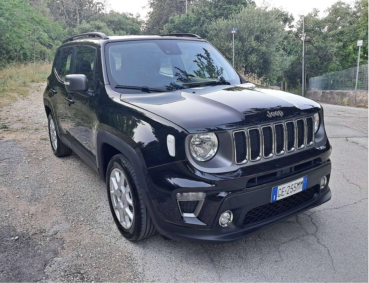 Jeep Renegade Jeep Renegade 1.6 Mtj 130 Cv limited (Iva esclusa)