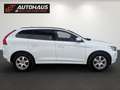 Volvo XC60 D4 Kinetic Geartronic | 1.BESITZ | Weiß - thumbnail 5