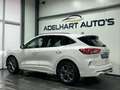 Ford Kuga 1.5 EcoBoost ST Line / Navigatie full map / Camera Weiß - thumbnail 12