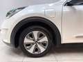 Kia Niro Spirit Plug-in Hybrid / RKAM / AHK / S-DACH Weiß - thumbnail 16