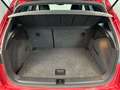 SEAT Arona -20% 1.0 TSI 110cv XPERIENCE+GPS+CAM+LED+Options Rouge - thumbnail 5