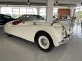 Jaguar XK 120 OTS 3.4 CABRIO Beige - thumbnail 1