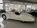 Jaguar XK 120 OTS 3.4 CABRIO Beige - thumbnail 5